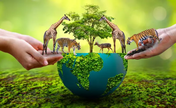 Global leaders shaking hands